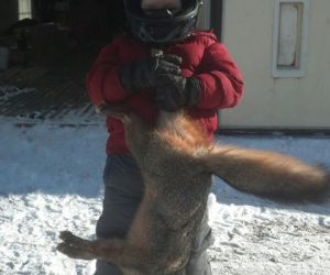 boy-holding-coyote