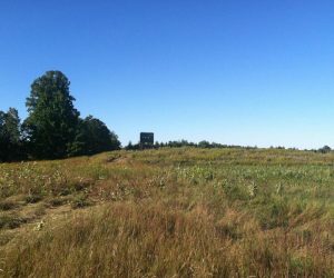 cabin-on-food-plot