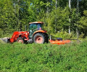 tractor-mowing-food-plot