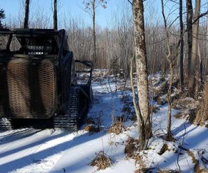 skid-steer-on-winter-trail