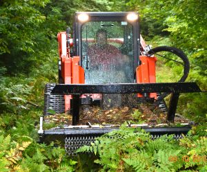 mowing-down-brush-with-skid-steer